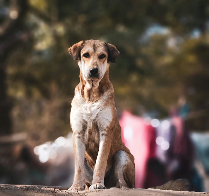 兒童保護大破解：用故事帶你輕鬆懂