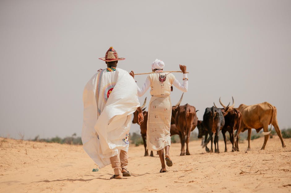 企業捐款的重要性與文化展示