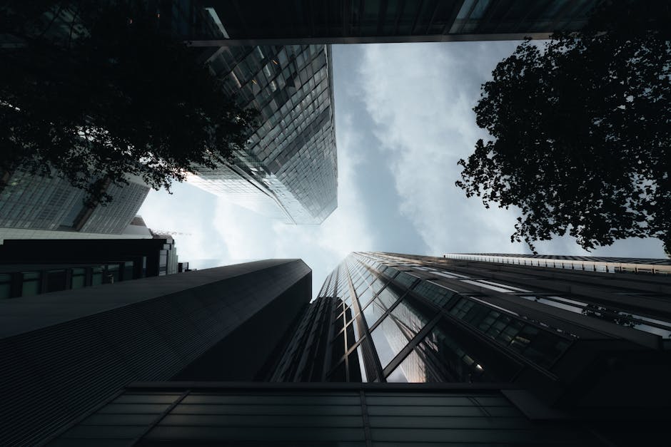 扣稅年金：深度解析與實務指導