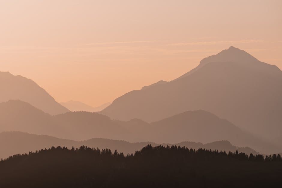 期貨市場的現況與發展趨勢