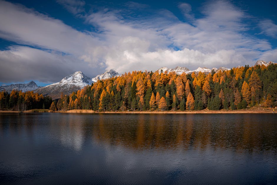 高蛋白飲品:讓你變身肌肉超人的秘密武器!
